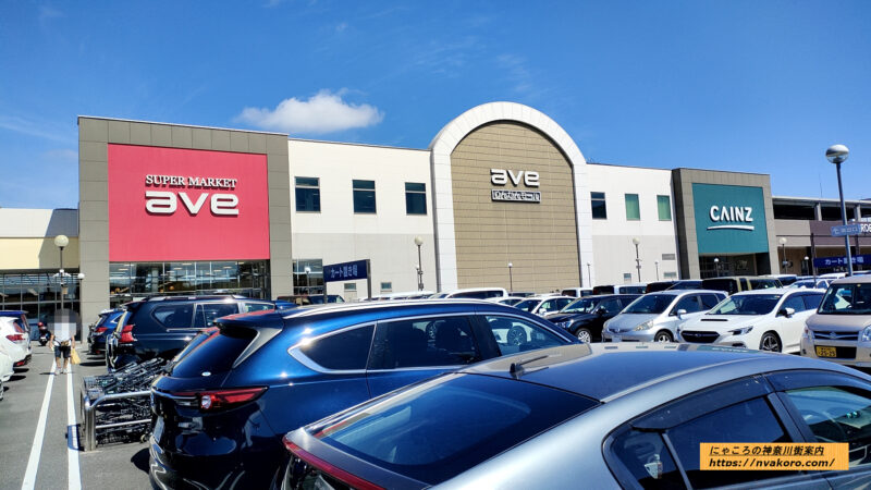 中央林間駅の住みやすさ現地調査 22年版 にゃころの神奈川街案内