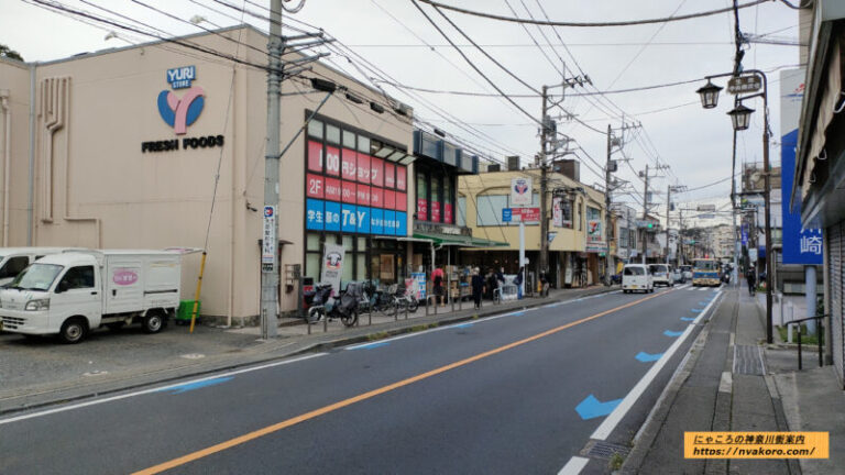 生田駅はどんな街(住みやすさ、治安、商業施設、家賃相場) 素敵な街を歩くネコ