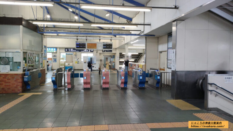 生田駅はどんな街(住みやすさ、治安、商業施設、家賃相場) 素敵な街を歩くネコ