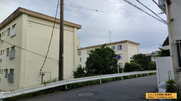 生田駅はどんな街(住みやすさ、治安、商業施設、家賃相場) 素敵な街を歩くネコ