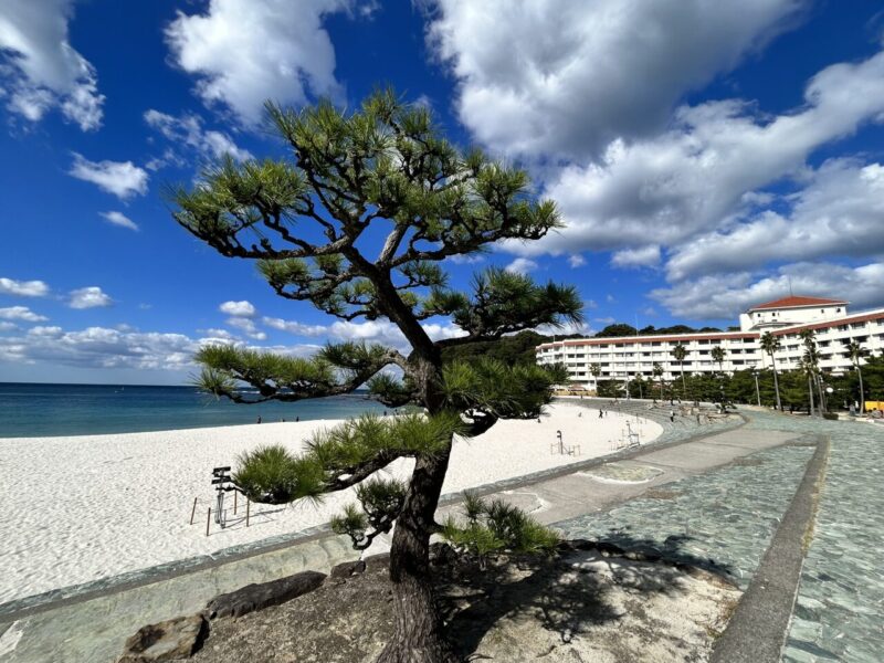 白浜町