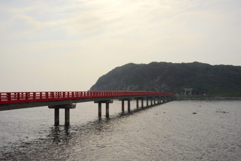 坂井市