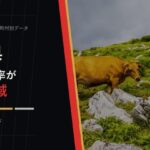 愛媛県の外国人比率が高い地域を示すアイキャッチ画像