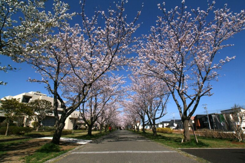 千葉市緑区の街写真